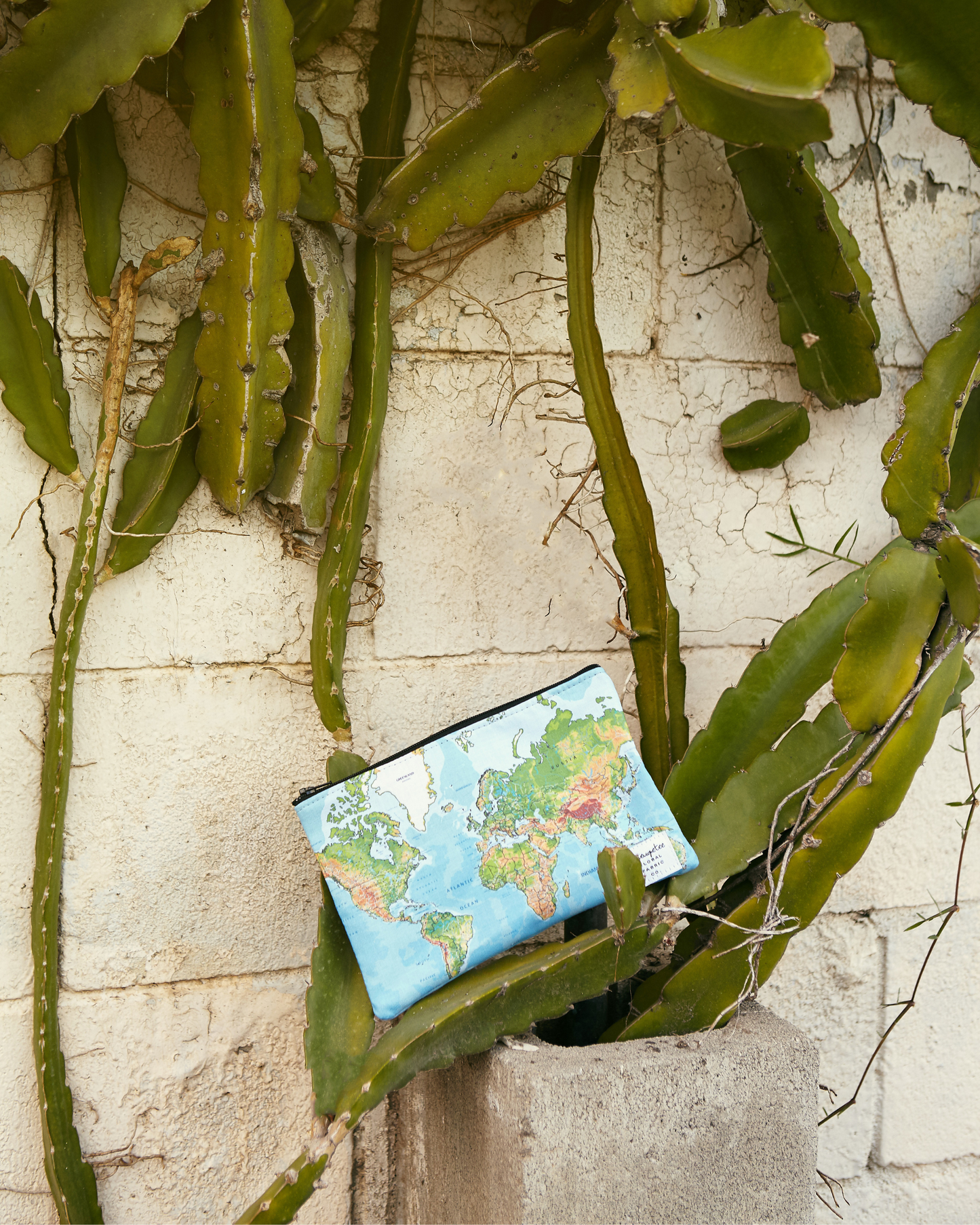 Globetrotter Travel Pouch from North Carolina